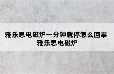 雅乐思电磁炉一分钟就停怎么回事 雅乐思电磁炉